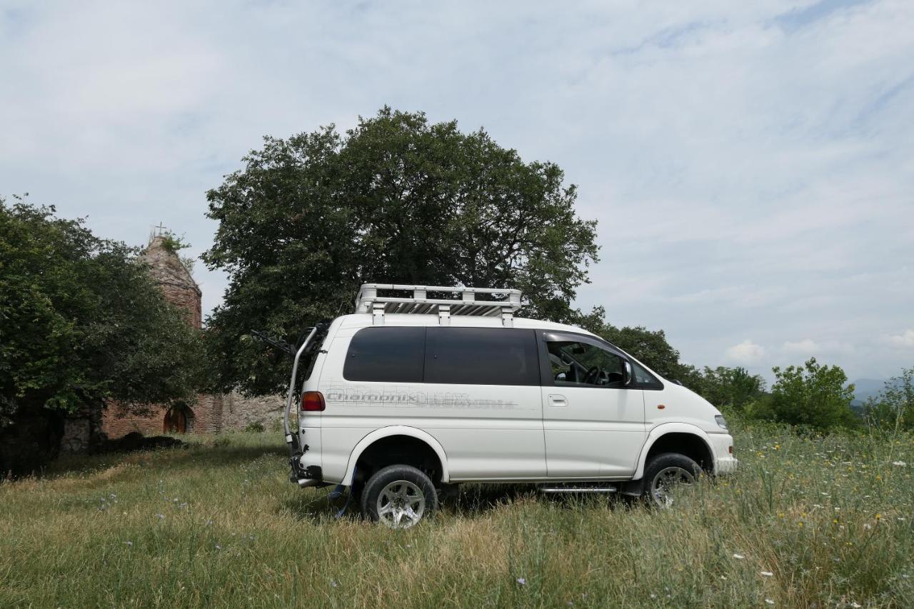 Guesthouse Alvani K'vemo Alvani Zewnętrze zdjęcie